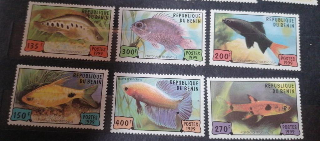 бенин 1999 рыбы