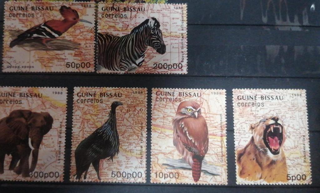 GUINE BISSAU фауна