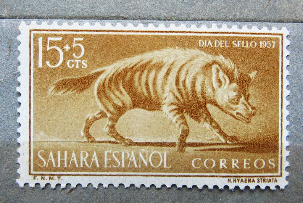 1957 г. Испанская Сахара Фауна Гиена 1м. сер. чист.** MNH