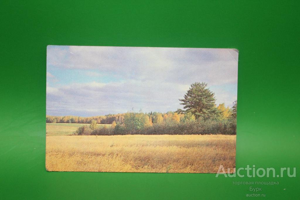 карманный календарик 1981 фото Дорожинского Поле