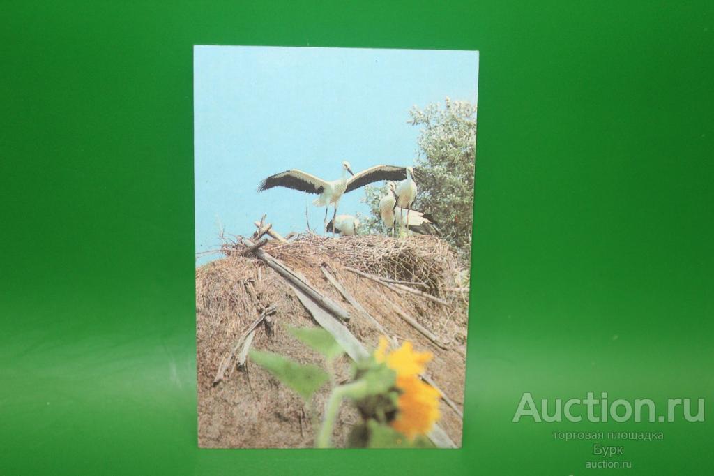 карманный календарик 1989 Аисты птицы гнездо фауна