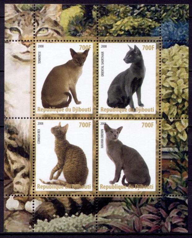 Животные Фауна Кошки 1блок** Джибути 2008 У1-22
