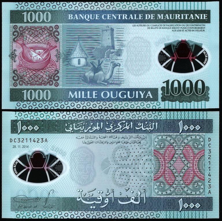 Мавритания 100 угий 2014 год.(полимер) UNC