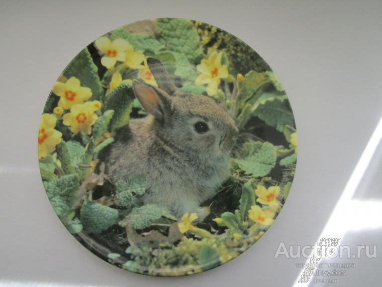 83. тарелка номерная заяц  HIDING IN THE PRIMROSES ROYAL DOULTON