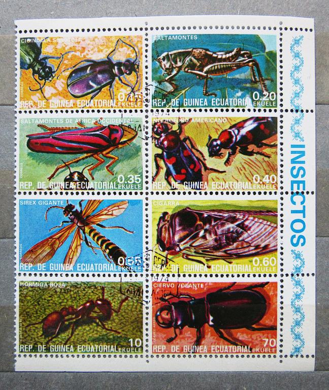Гвинея 1974 г. Фауна Насекомые Жуки м/л, сцепка 8мар., поле.