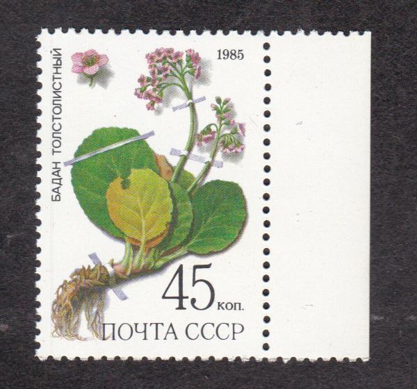СССР 1985 Флора Лекарственные растения (2724)