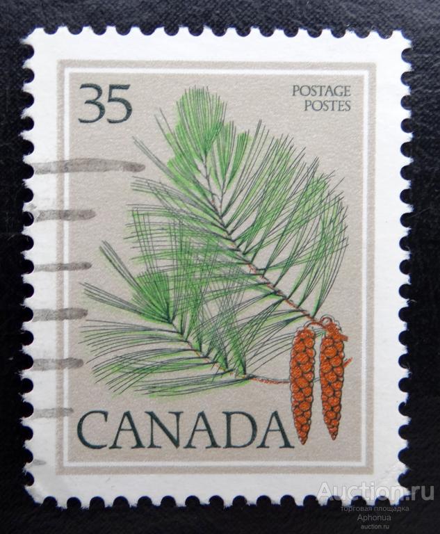 Марка гашение Восточная белая сосна. Флора. Канада 1979