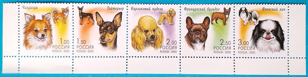 Россия | РФ 2000 Фауна / Декоративные собаки** №605-09,