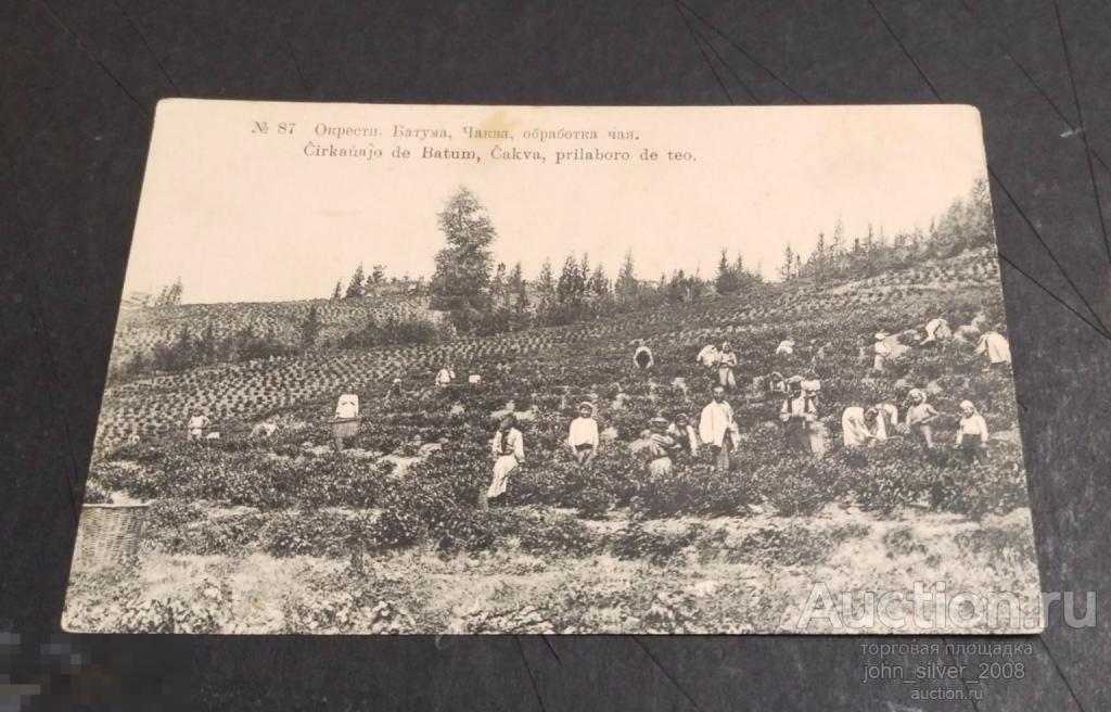 Батум - Чаква, обработка чая- Россия до 1917г. Почтовая карточка чистая №87 Кавказ