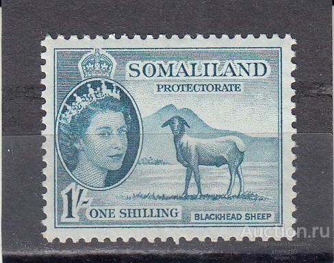 SOMALILAND СОМАЛИЛЕНД  Фауна Овцы  № 128  1953  Сост* Наклейка!!