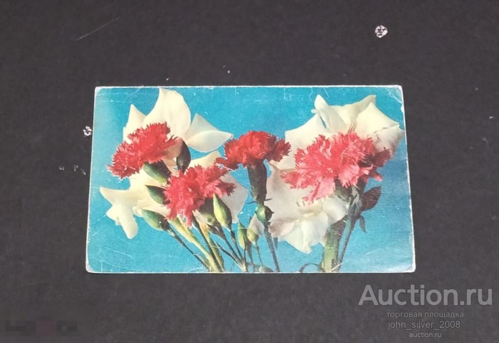 Гладиолусы Гвоздики - цветы флора 1970 фото П. Смоляков