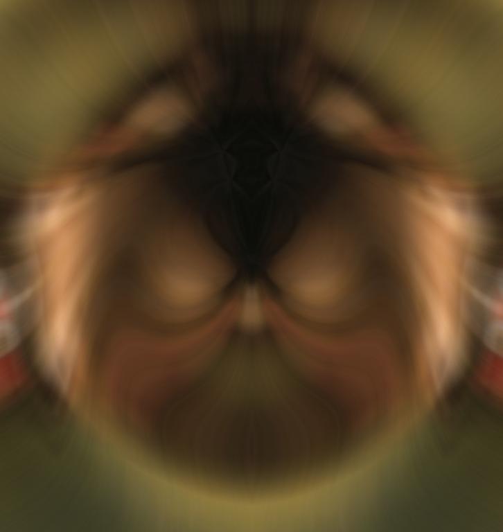 NFT Rarible My ghost #725