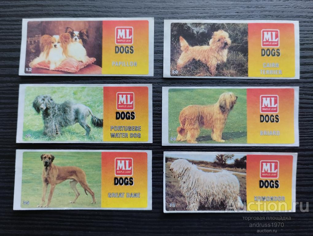 НАКЛЕЙКИ ОТ ЖВАЧКИ DOGS ML MAPLE LEAF ЦЕНА ЗА ОДНУ НАКЛЕЙКУ!!!