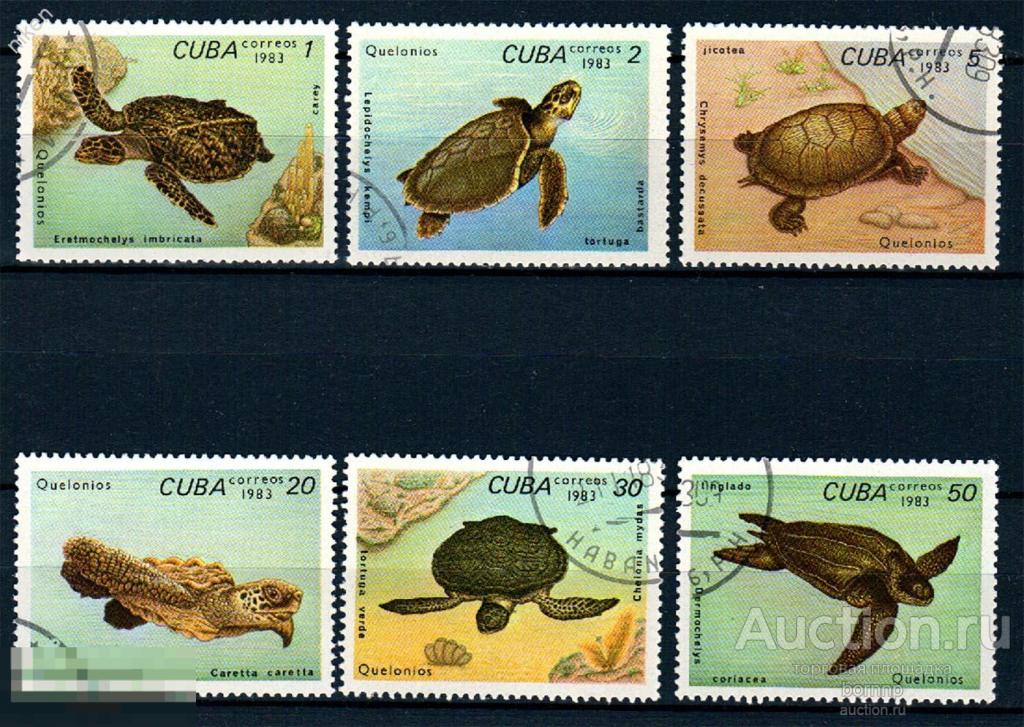 КУБА 1983 МОРСКАЯ ФАУНА ЧЕРЕПАХИ 46-1-339