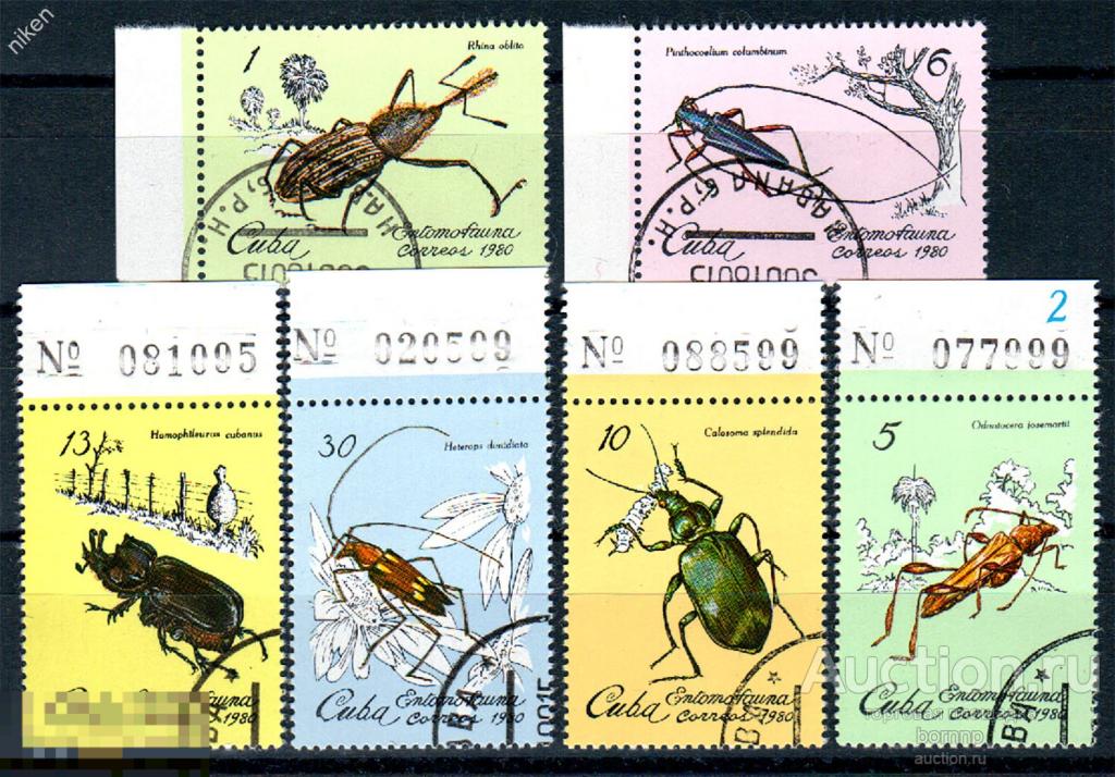 КУБА 1980 ФАУНА НАСЕКОМЫЕ ЖУКИ ПОЛЯ 46-2-3