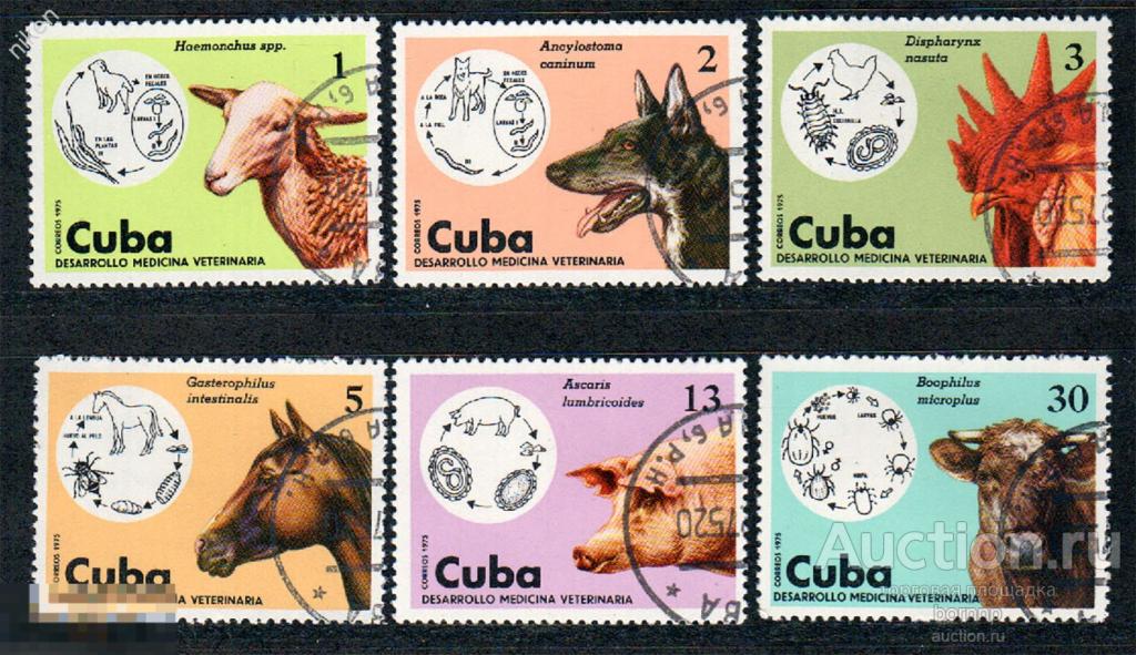 КУБА 1975 ФАУНА ДОМАШНИЕ ЖИВОТНЫЕ ВЕТЕРИНАРИЯ МЕДИЦИНА ПАРАЗИТОЛОГИЯ ПОЛЯ 46-1-335