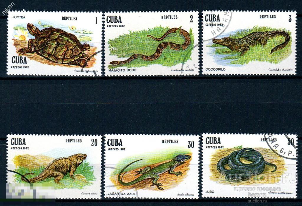 КУБА 1982 ФАУНА РЕПТИЛИИ ЯЩЕРИЦЫ КРОКОДИЛ ЧЕРЕПАХИ 46-1-355