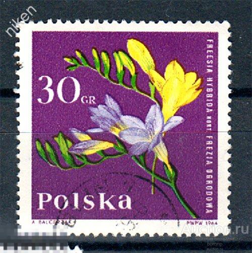 ПОЛЬША 1964 ФЛОРА ЦВЕТЫ ФРЕЗИЯ ГИБРИДНАЯ СЕМЕЙСТВО ИРИСОВЫЕ 26-3-142