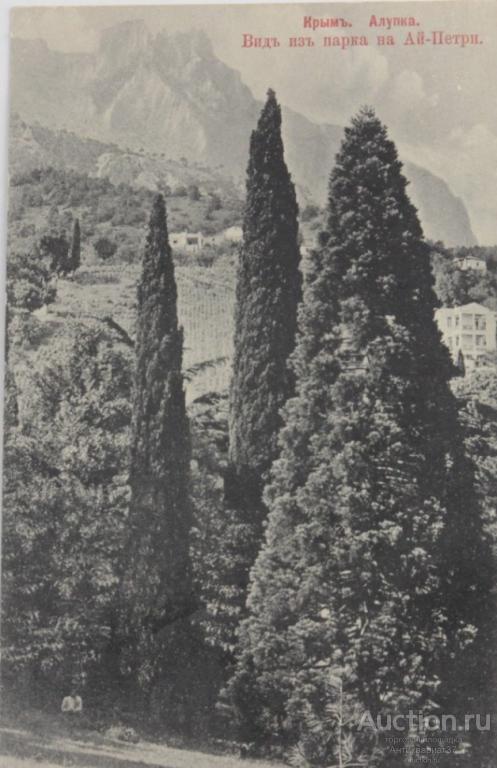 Открытка Алупка. Вид из парка на Ай-Петри. Крым, до 1917 года