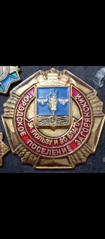 Наградной знак За пользу во благо поселения Загорянский
