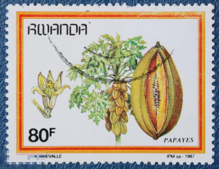 Руанда. 1987. Фрукты Плоды Флора Папая Почтовое гашение