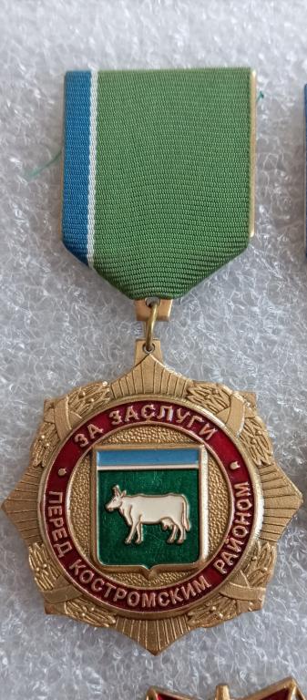 Наградной Знак За заслуги перед Костромским районом
