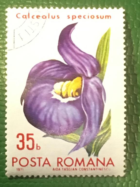 Марка. Цветы - Ботанический сад Бухареста. Румыния. 1971 г.