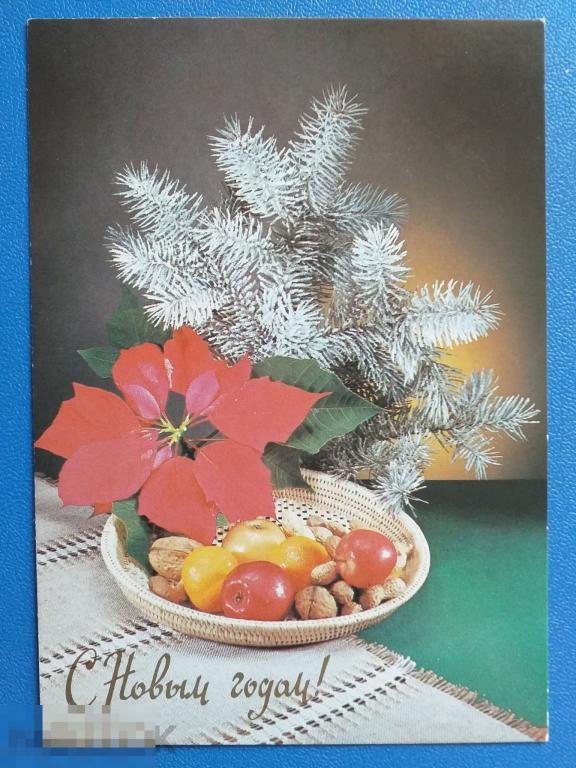 А294  Киндрова С Новым годом! 1990 г. апельсины фрукты еловая ветка Чистая