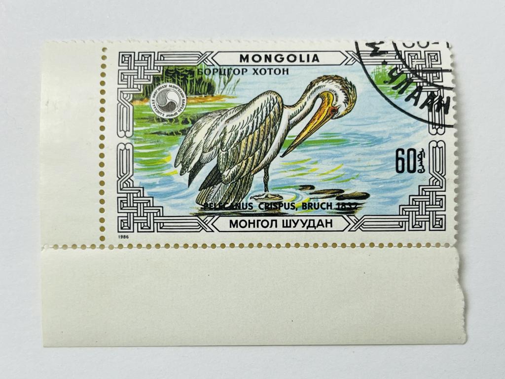 Пеликаны: Кудрявый пеликан. Фауна. Монголия. 1986. Скотт: MN 1538B; Михель: MN 1812. Гашен