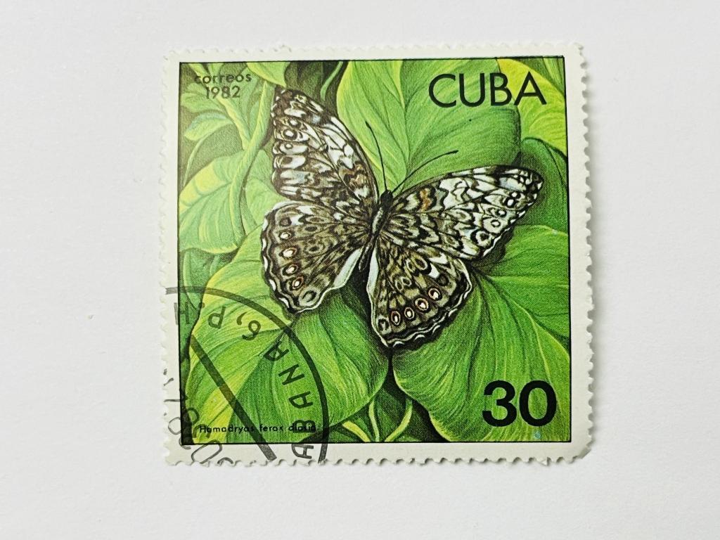 Бабочка. Карибский кракер. Фауна. Куба. 1982. Скотт: CU 2482; Михель: CU 2631. Гашен