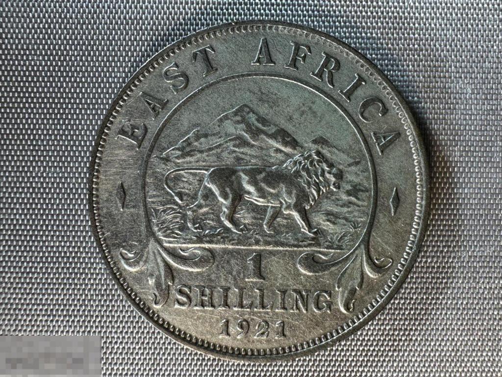 1 Шиллинг 1921 • Британская Восточная Африка