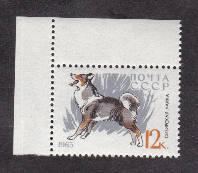СССР 1965 Фауна Собаки Лайка (2954