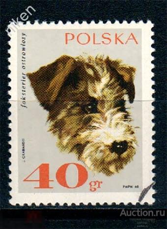 ПОЛЬША 1969 ФАУНА ПОРОДЫ СОБАК ОХОТНИЧЬИ СОБАКИ ФОКСТЕРЬЕР 65-409 
