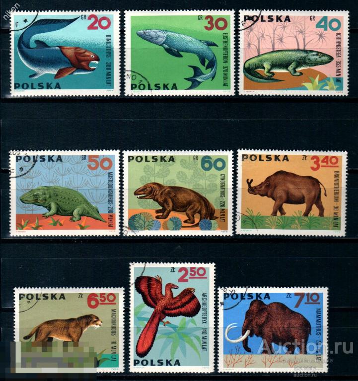 ПОЛЬША 1966 ДОИСТОРИЧЕСКИЕ ВЫМЕРШИЕ ЖИВОТНЫЕ ДИНОЗАВРЫ ПАЛЕОНТОЛОГИЯ 55-1-469