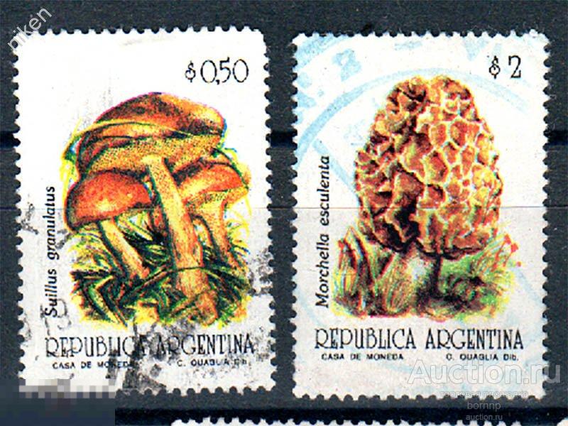 АРГЕНТИНА 1993 ФЛОРА ГРИБЫ 65-179