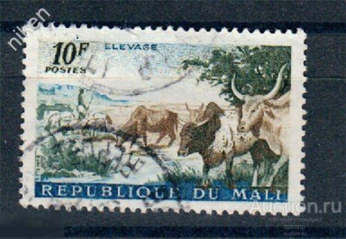 МАЛИ 1961 ФАУНА СЕЛЬСКОЕ ХОЗЯЙСТВО КРУПНЫЙ РОГАТЫЙ СКОТ БЫКИ ЗЕБУ 55-1-499