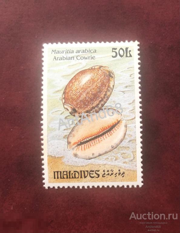 Марка чистая МАЛЬДИВЫ каури 50