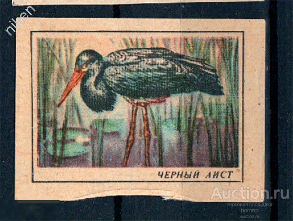 СПИЧЕЧНЫЕ ЭТИКЕТКИ СССР ОХРАНА ПРИРОДЫ ФАУНА ПТИЦЫ АИСТ ЧЕРНЫЙ 38-3-293