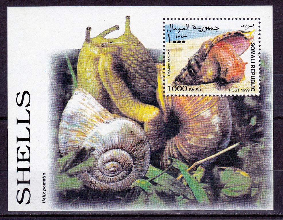 Марки Сомали 1999 г. Улитки Блок MNH ** Фауна Моллюски