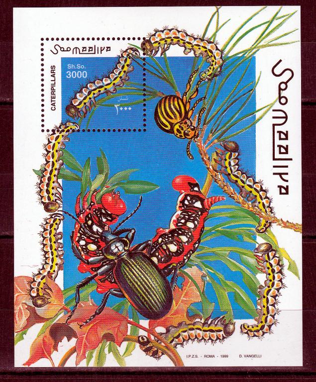 Марки Сомали 1999 г. Жуки и гусеницы Блок М № 61 MNH ** Фауна Насекомые