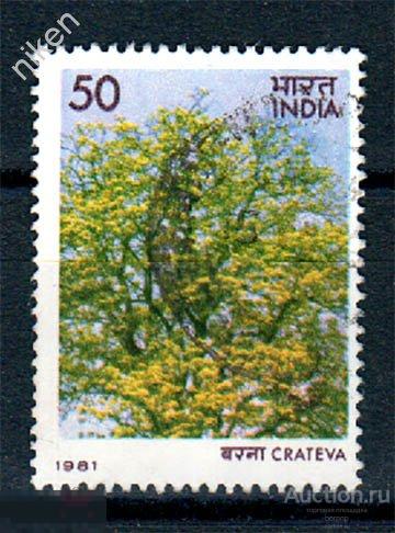 ИНДИЯ 1981 ФЛОРА ЦВЕТЫ КРАТЭВА НУРВАЛА ЦВЕТКОВОЕ РАСТЕНИЕ СЕМЕЙСТВО КАПЕРСОВЫЕ 63-9