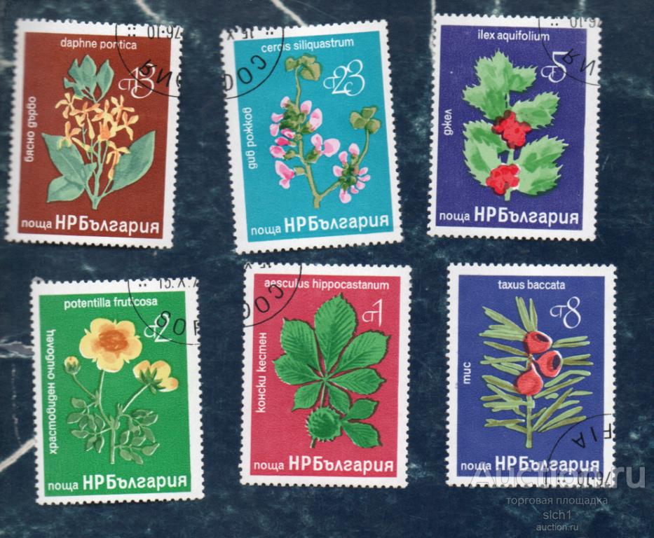 БОЛГАРИЯ 1976 ФЛОРА ЦВЕТЫ   ГАШЁН