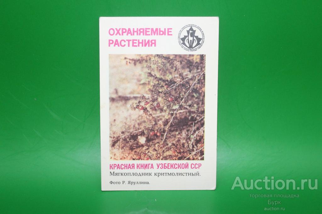 карманный календарик 1987 Красная книга Узбекской ССР Мягкоплодник критмолистный
