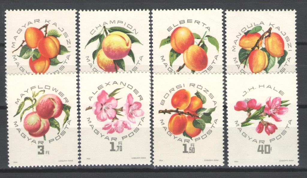 Венгрия  1964г. Абрикосы, серия. MNH.