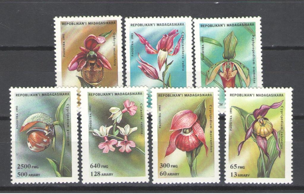 Мадагаскар  1993г. Цветы, серия. MNH.