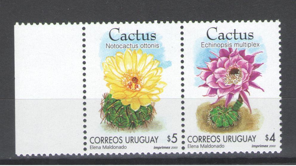 Уругвай  2000г. Цветы, серия. MNH.