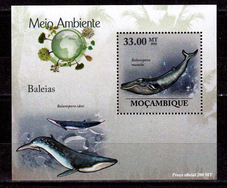 Марки Мозамбик 2010 г. Киты Блок MNH ** Фауна