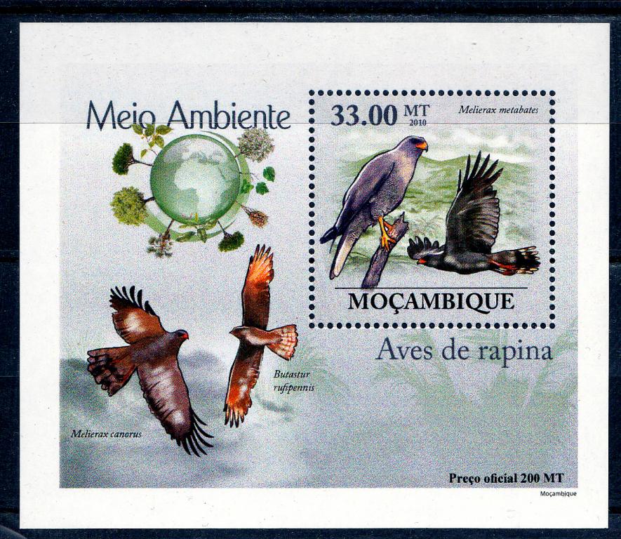 Марки Мозамбик 2010 г. Орлы Блок MNH ** Фауна Хищные птицы