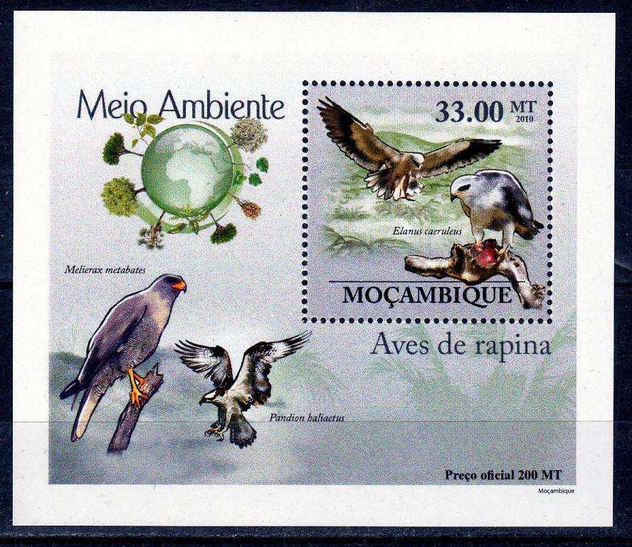 Марки Мозамбик 2010 г. Орлы Блок MNH ** Фауна Хищные птицы