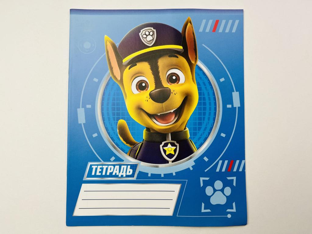 Тетрадь в клетку 12 листов - Щенячий патруль (Paw Patrol). Голубая 